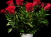 ELEGANT ROMANCE ELEGANT ROMANCE