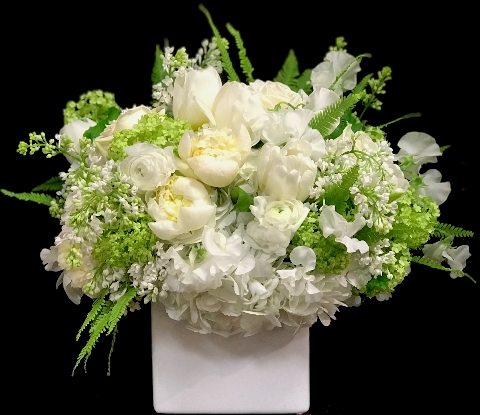 CLASSIC BLOOMS CLASSIC BLOOMS