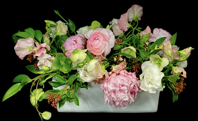 PEONY GARDEN PEONY GARDEN