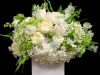 CLASSIC BLOOMS CLASSIC BLOOMS