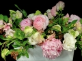 PEONY GARDEN PEONY GARDEN