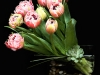 TULIP CLUSTER TULIP CLUSTER
