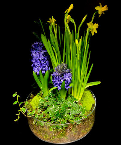 BLOOMING GARDEN BLOOMING GARDEN