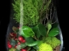 HOLIDAY TERRARIUM HOLIDAY TERRARIUM