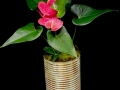 PINK ANTHURIUM PLANT PINK ANTHURIUM PLANT