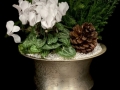 WINTER ELEGANCE WINTER ELEGANCE
