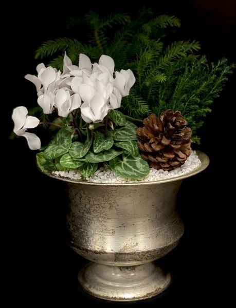 WINTER ELEGANCE WINTER ELEGANCE