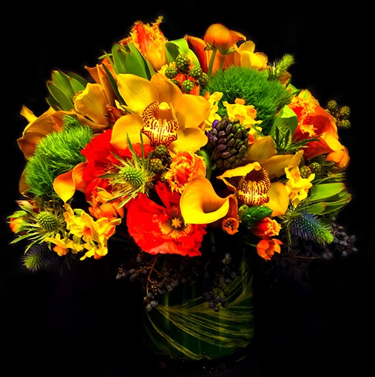 CITRINE SPLENDOR CITRINE SPLENDOR