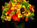 CITRINE SPLENDOR CITRINE SPLENDOR