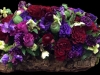 BOTANICAL JEWEL BOTANICAL JEWEL