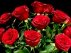 CLASSIC ROMANCE CLASSIC ROMANCE