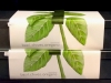 HERB GROW BOX HERB GROW BOX