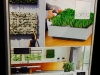 SELF IRRIGATING GARDEN WALL SELF IRRIGATING GARDEN WALL