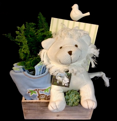 BABY GIFT CRATE - BLUE BABY GIFT CRATE - BLUE
