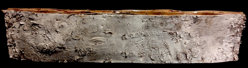 BIRCH VASE BIRCH VASE