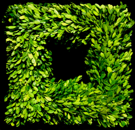 SQUARE BOXWOOD WREATH SQUARE BOXWOOD WREATH