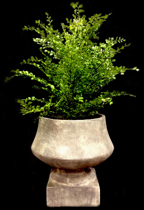 FAUX MAIDEN HAIR URN FAUX MAIDEN HAIR URN