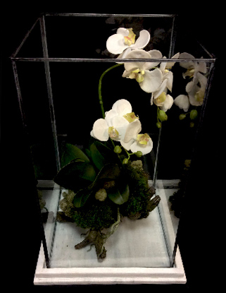 FAUX ORCHID TERRARIUM FAUX ORCHID TERRARIUM