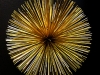 GOLD SPHERE GOLD SPHERE