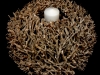 WOODSY BUBBLE BOWL WOODSY BUBBLE BOWL