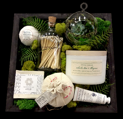 GIFT BOX - SUCCULENT SURPRISE GIFT BOX - SUCCULENT SURPRISE
