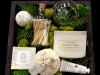 GIFT BOX - SUCCULENT SURPRISE GIFT BOX - SUCCULENT SURPRISE