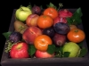 FRUIT BASKET FRUIT BASKET