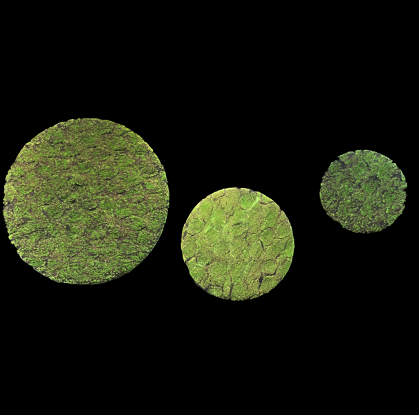 FAUX MOSS DISCS FAUX MOSS DISCS