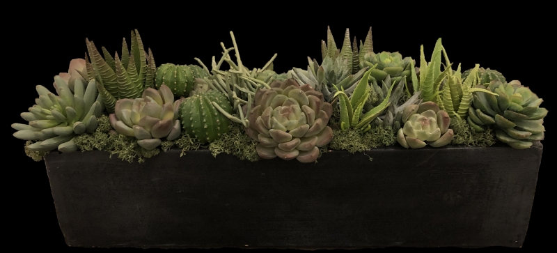 FAUX SUCCULENT GARDEN FAUX SUCCULENT GARDEN