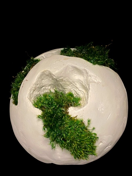 PRESERVED MOSS ROOT BALL PRESERVED MOSS ROOT BALL
