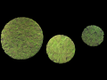 FAUX MOSS DISCS FAUX MOSS DISCS