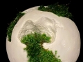 PRESERVED MOSS ROOT BALL PRESERVED MOSS ROOT BALL