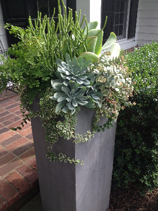 OUTDOOR PLANTERS