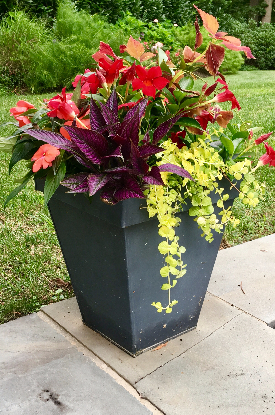 OUTDOOR PLANTERS