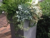 OUTDOOR PLANTERS
