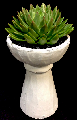 SUCCULENT STATUE SUCCULENT STATUE