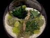 DESERT CACTUS TERRARIUM DESERT CACTUS TERRARIUM