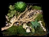 ZEN GARDEN ZEN GARDEN