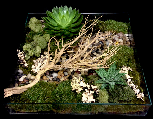 ZEN GARDEN ZEN GARDEN