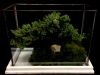 MARBLE GLASS BONSAI TERRARIUM MARBLE GLASS BONSAI TERRARIUM