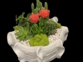 MOON CACTUS GARDEN MOON CACTUS GARDEN