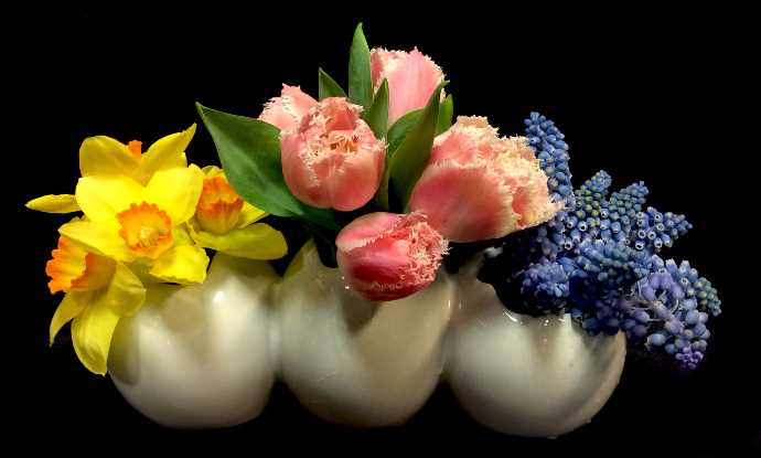 CHICKS & BLOOMS CHICKS & BLOOMS