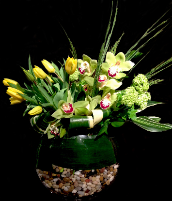 springburst springburst