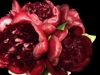 BREATHLESS BURGUNDY BREATHLESS BURGUNDY
