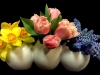 CHICKS & BLOOMS CHICKS & BLOOMS