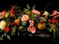 CORNUCOPIA CORNUCOPIA