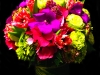 CHEERY BLOOMS CHEERY BLOOMS