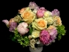 PETALS & POSIES PETALS & POSIES