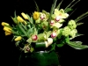 springburst springburst