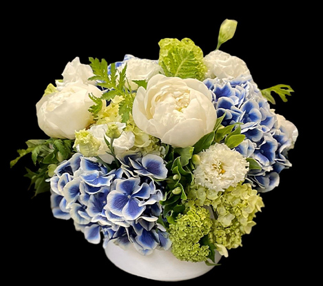 Coastal Garden Flowers